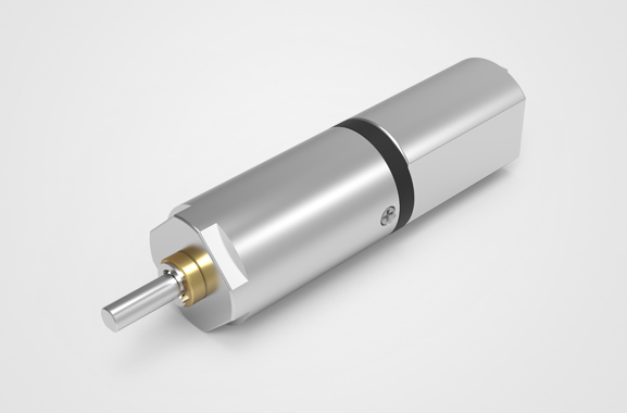 �Զ����»����